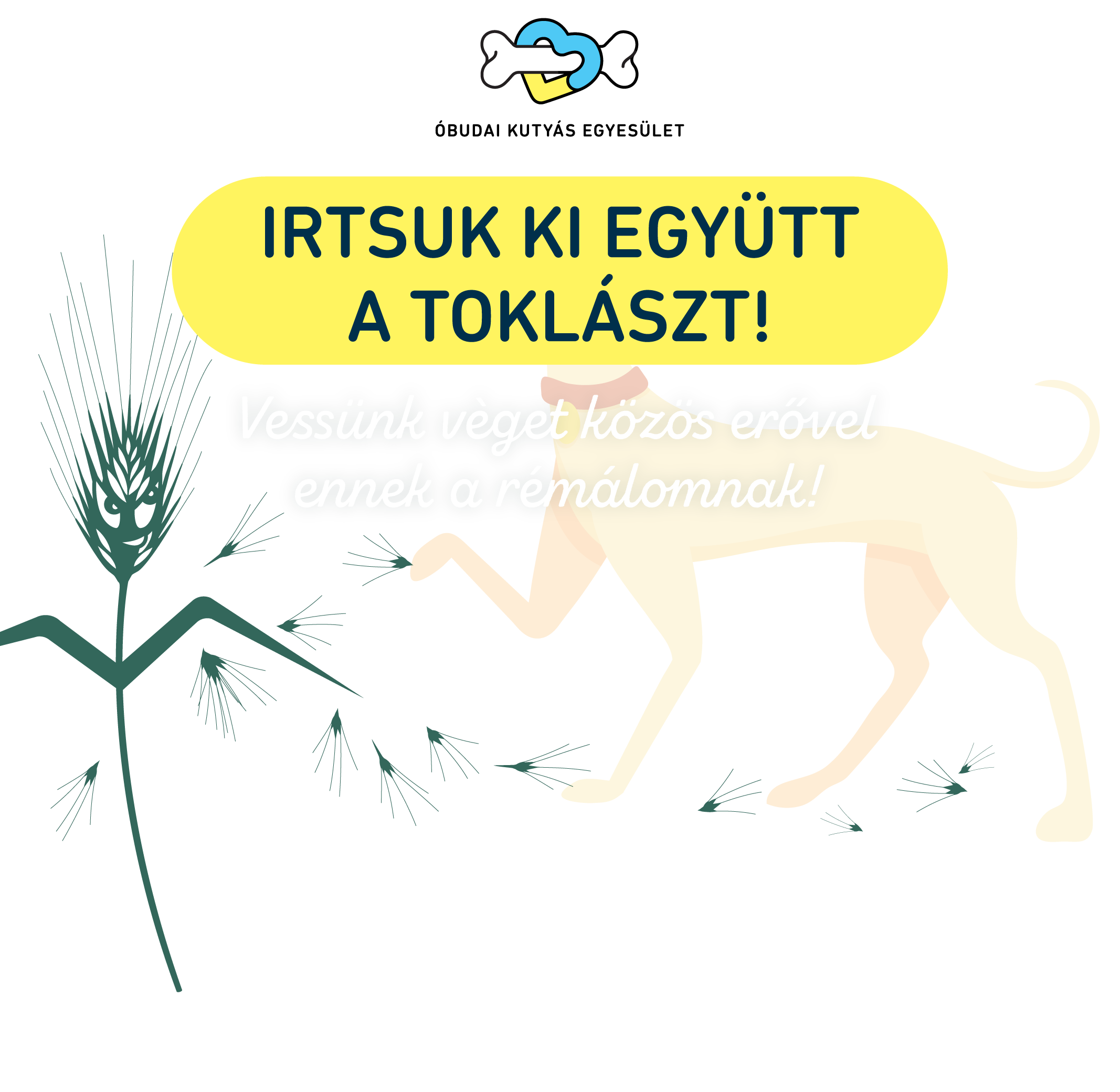 Óbudai Kutyás Egyesület – Irtsuk ki együtt a toklászt! Vessünk véget közös erővel ennek a rémálomnak!